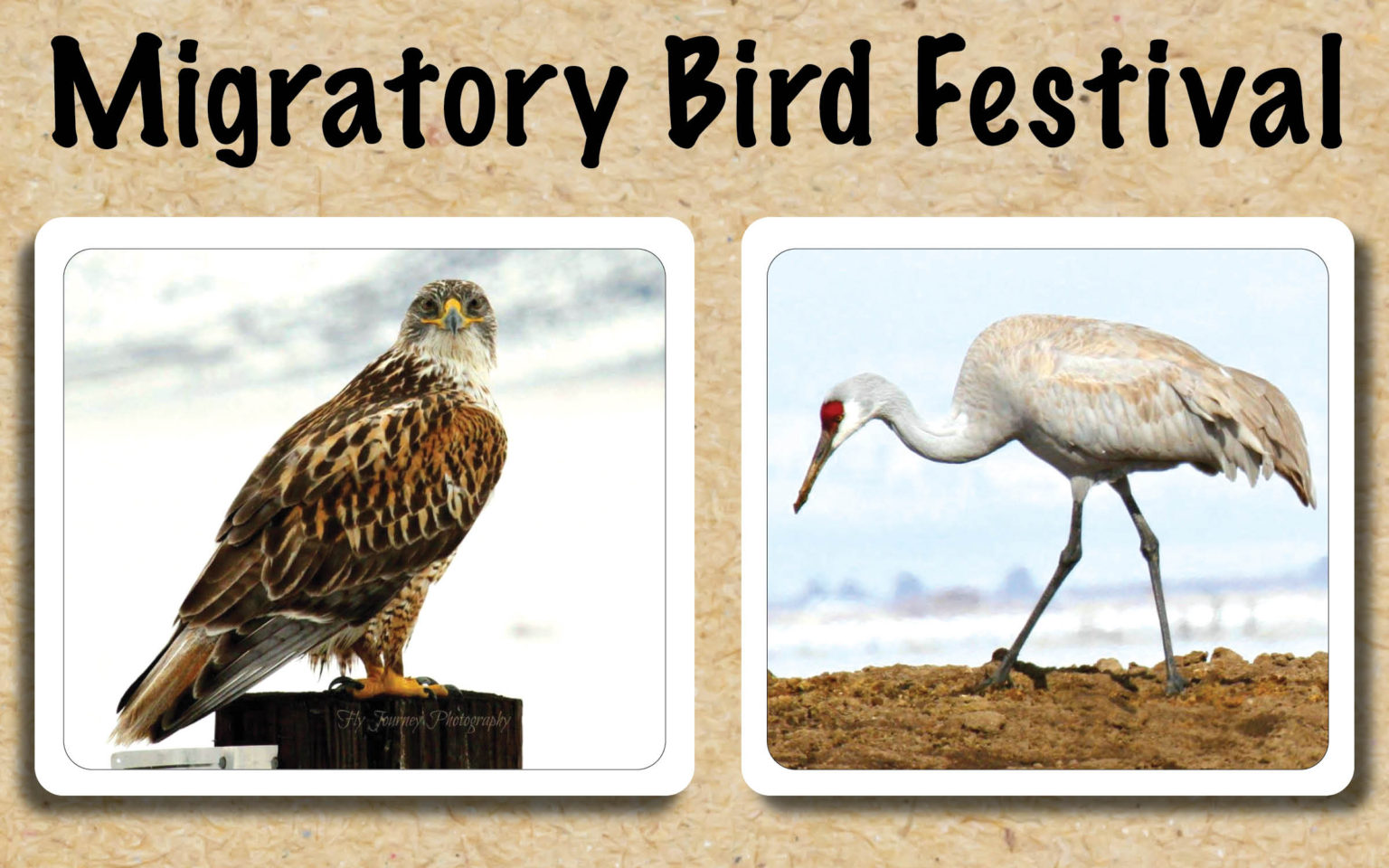 Harney County Migratory Bird Festival Goes Virtual Burns TimesHerald